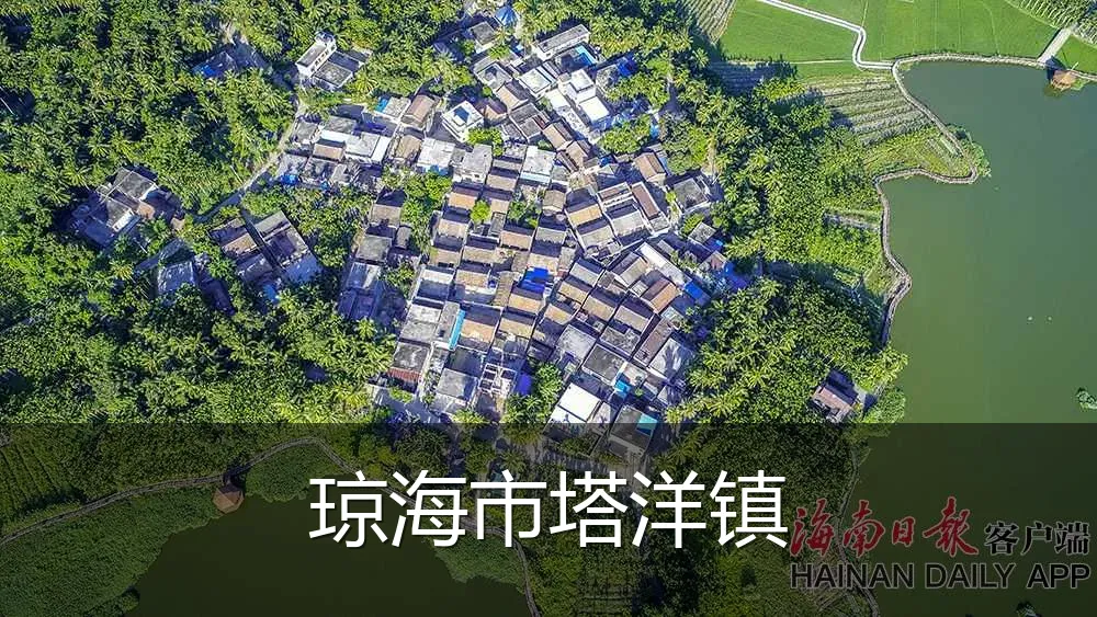 琼海市塔洋镇