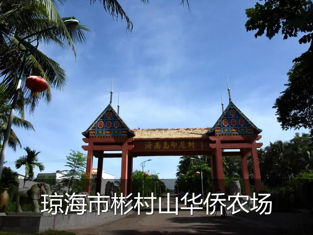 琼海市彬村山华侨农场