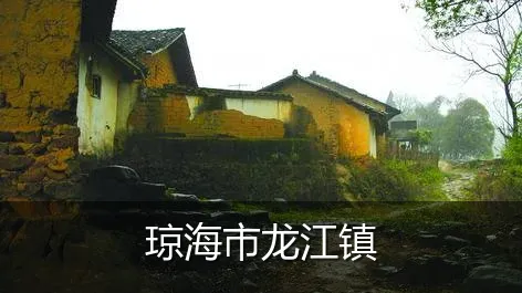 琼海市龙江镇